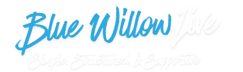 Blue Willow Live — Simple, Structured & Supportive