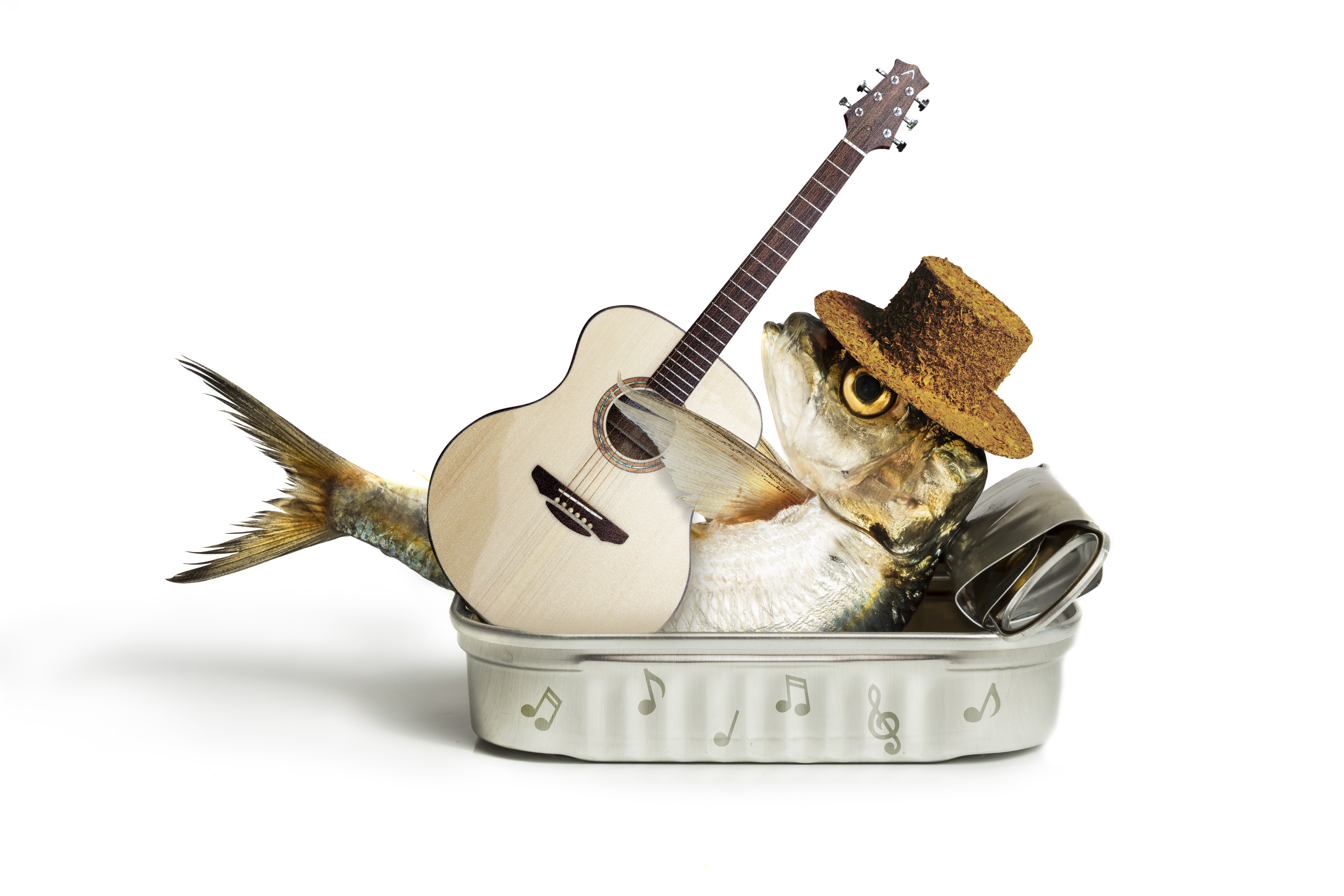 Tin Fish